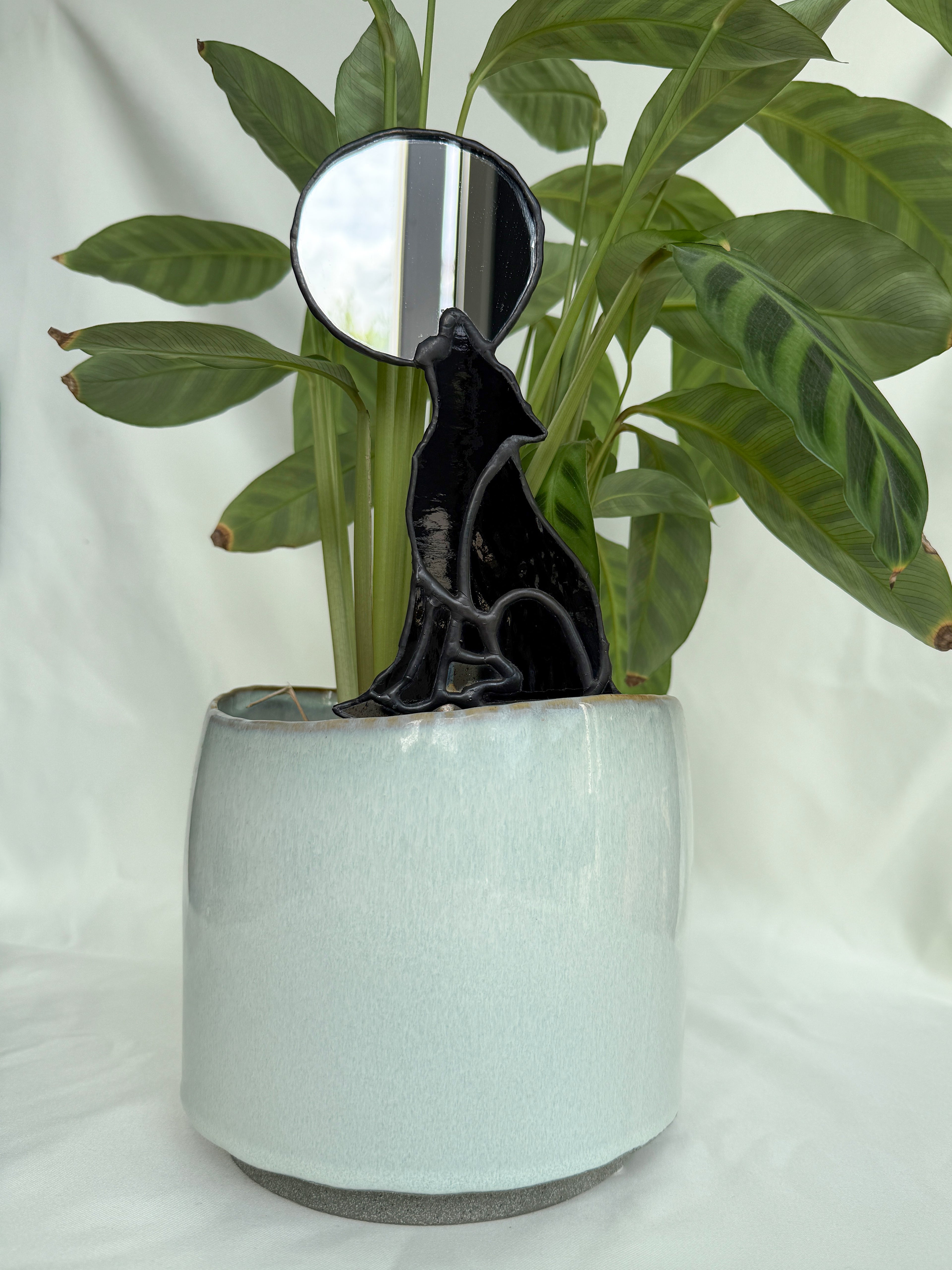 Plant stakes